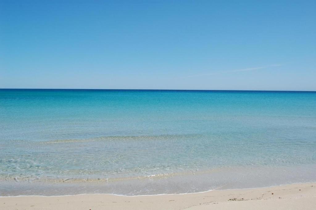 Dimora Brezza Di Mare Daire Termoli Dış mekan fotoğraf